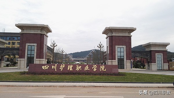 四川护理职业学院2019年单招计划出炉，医药卫生类考生火速关注