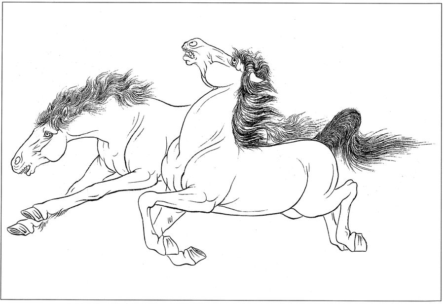 白马的画法图片
