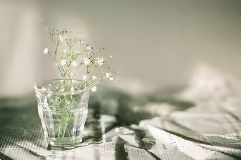 短视频要有意义还是要有意思？