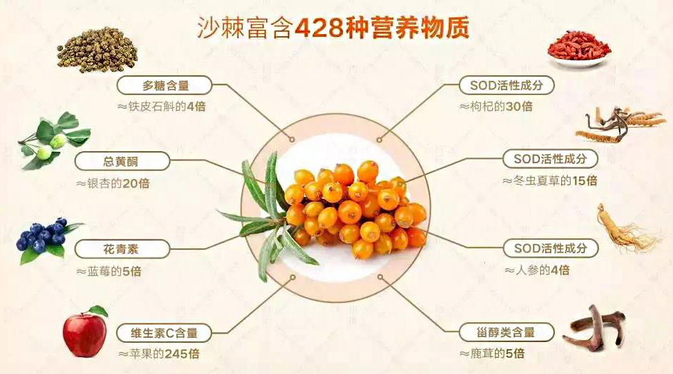 沙棘怎么食用(沙棘火锅火爆全网)