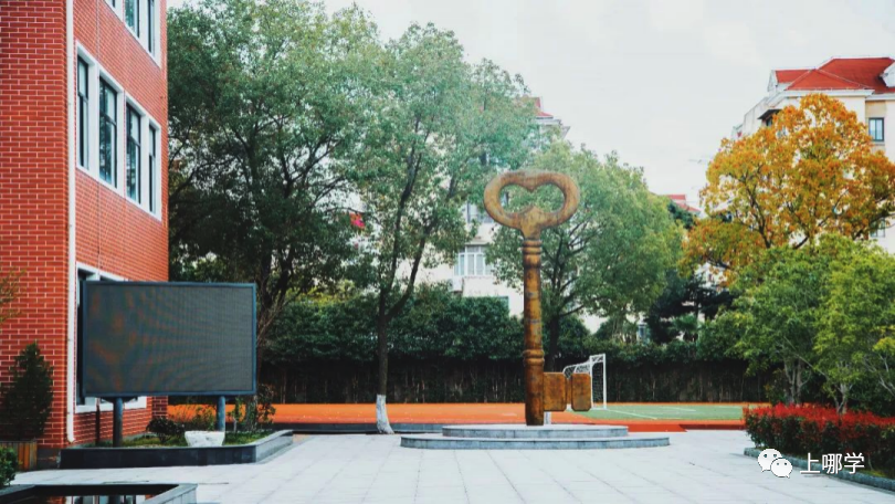 逆袭！上海这10所学校要翻身了