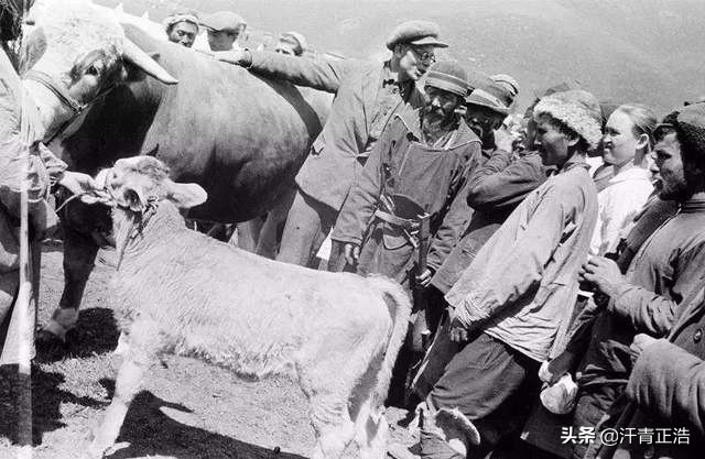 1962年伊塔事件：中苏边境大规模边民外逃风波