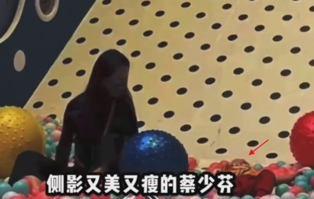 蔡少芬带儿子游乐场玩耍，被赞又高又瘦，张晋陈法蓉一旁闲聊