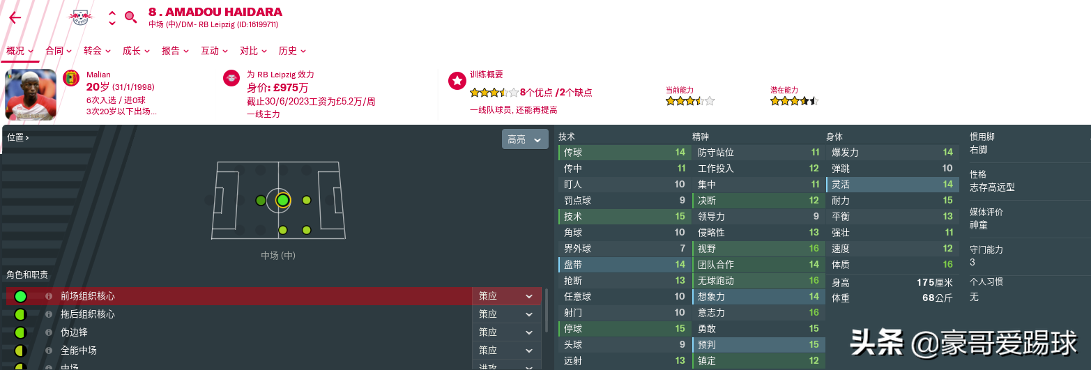 fm2019德甲选什么队伍(FM2019足球经理——两头“红牛”值得使用的球员)