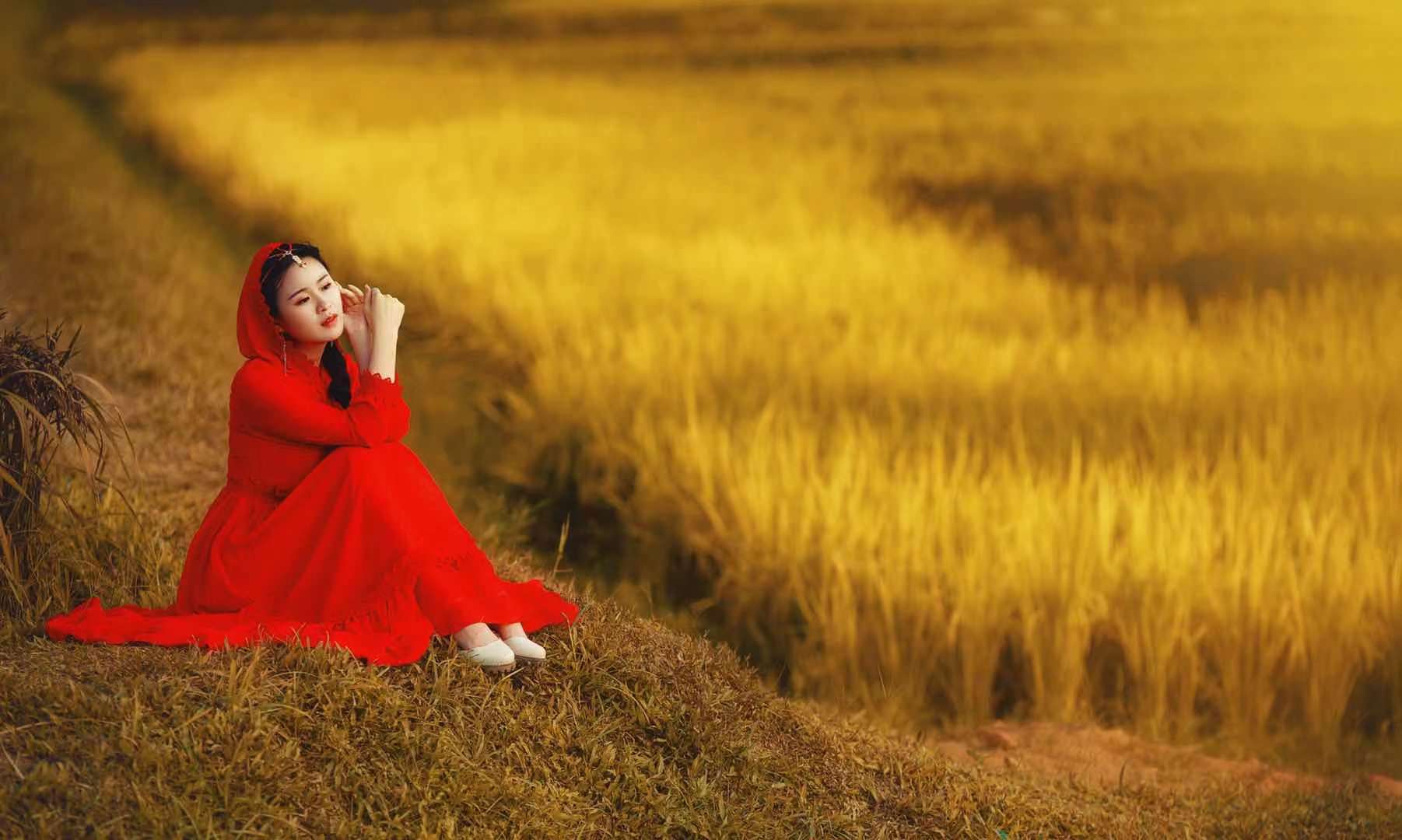 个人外景拍照图片大全(稻田中拍唯美人像) - 赤虎壹号