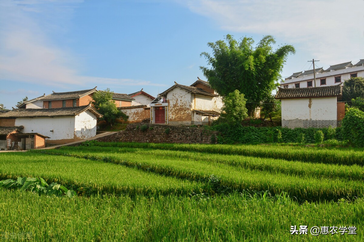 农村荒地可以建房子吗？开垦的荒地使用权归自己吗？征收有补偿吗