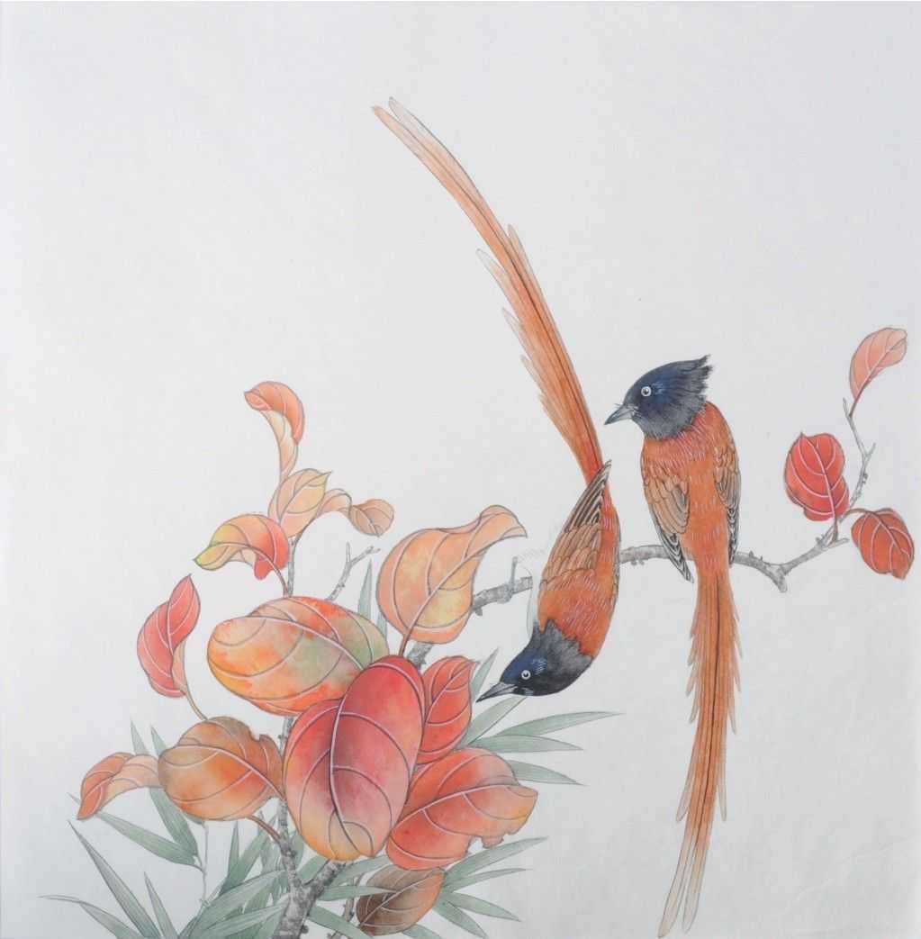 零基础工笔画教程:分步骤讲解绶带鸟工笔画法,适合0基础学习