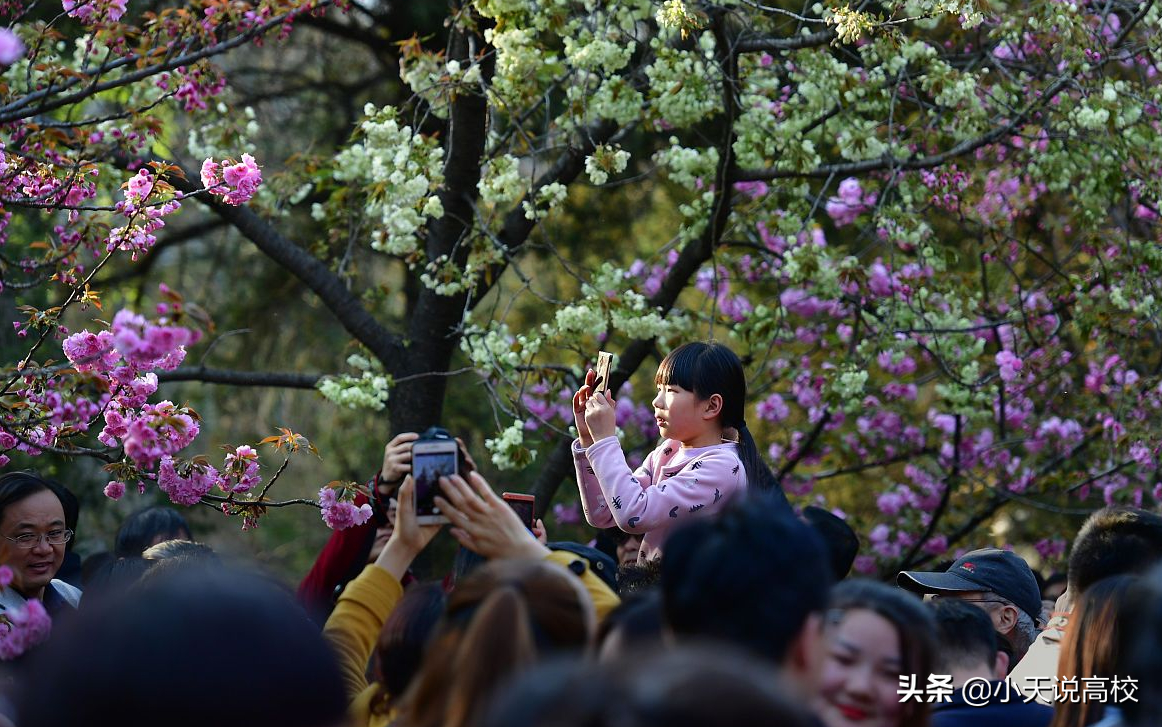 2021年安徽省高考分数线已发布，省内一本高校（理科）怎么报呢