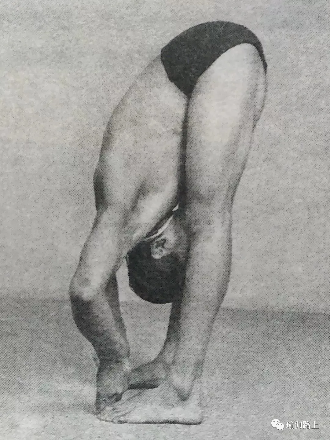 艾扬格密集一 | 32 个经典体式 & 2 大呼吸法经典示范图