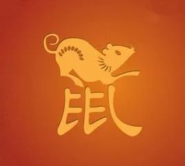 鼠年究竟用Mouse还是Rat？这个问题困扰了很多人！