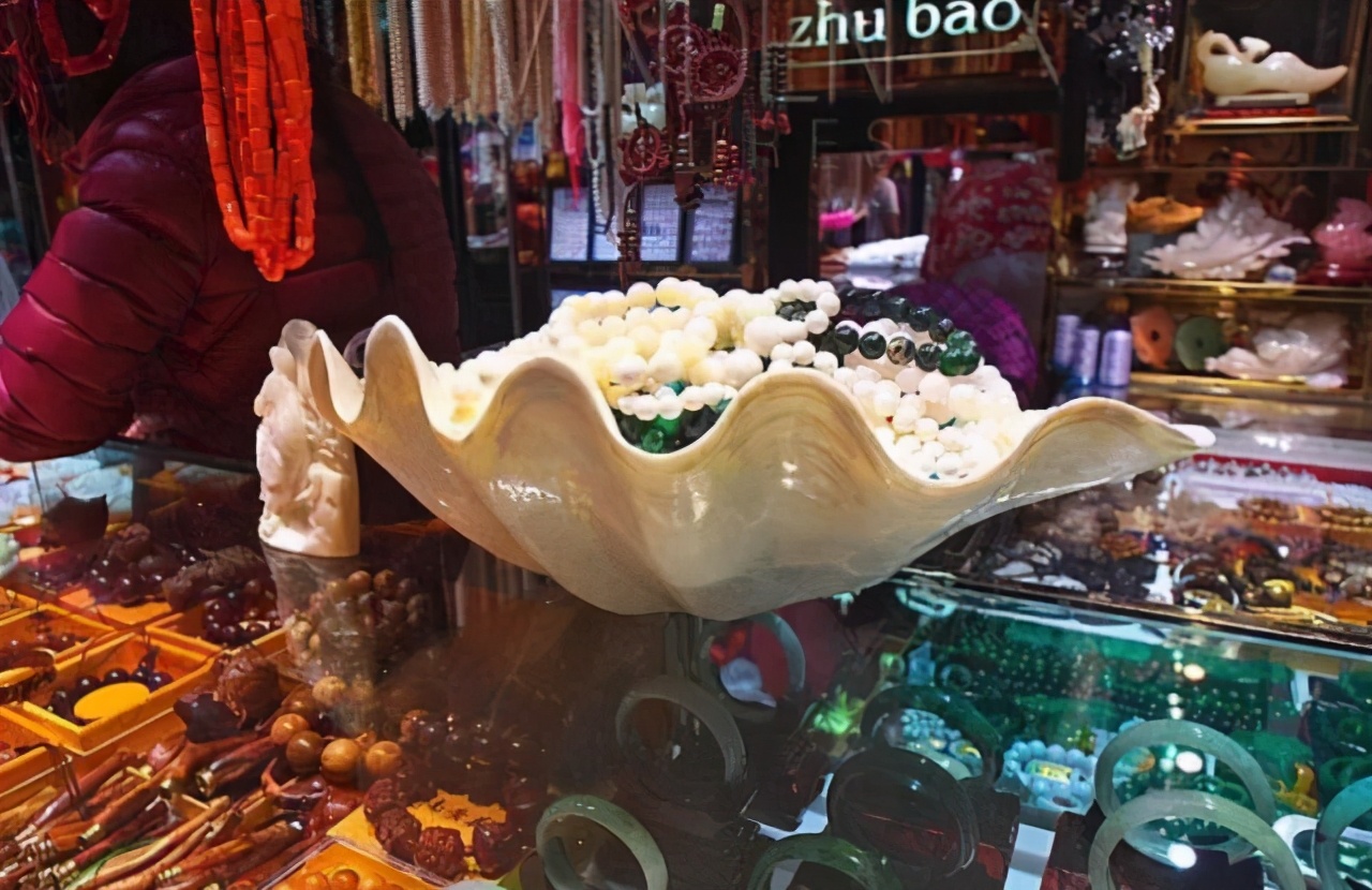最大的贝壳是哪种？这种贝壳竟能活到100岁！它会伤到潜水员吗？