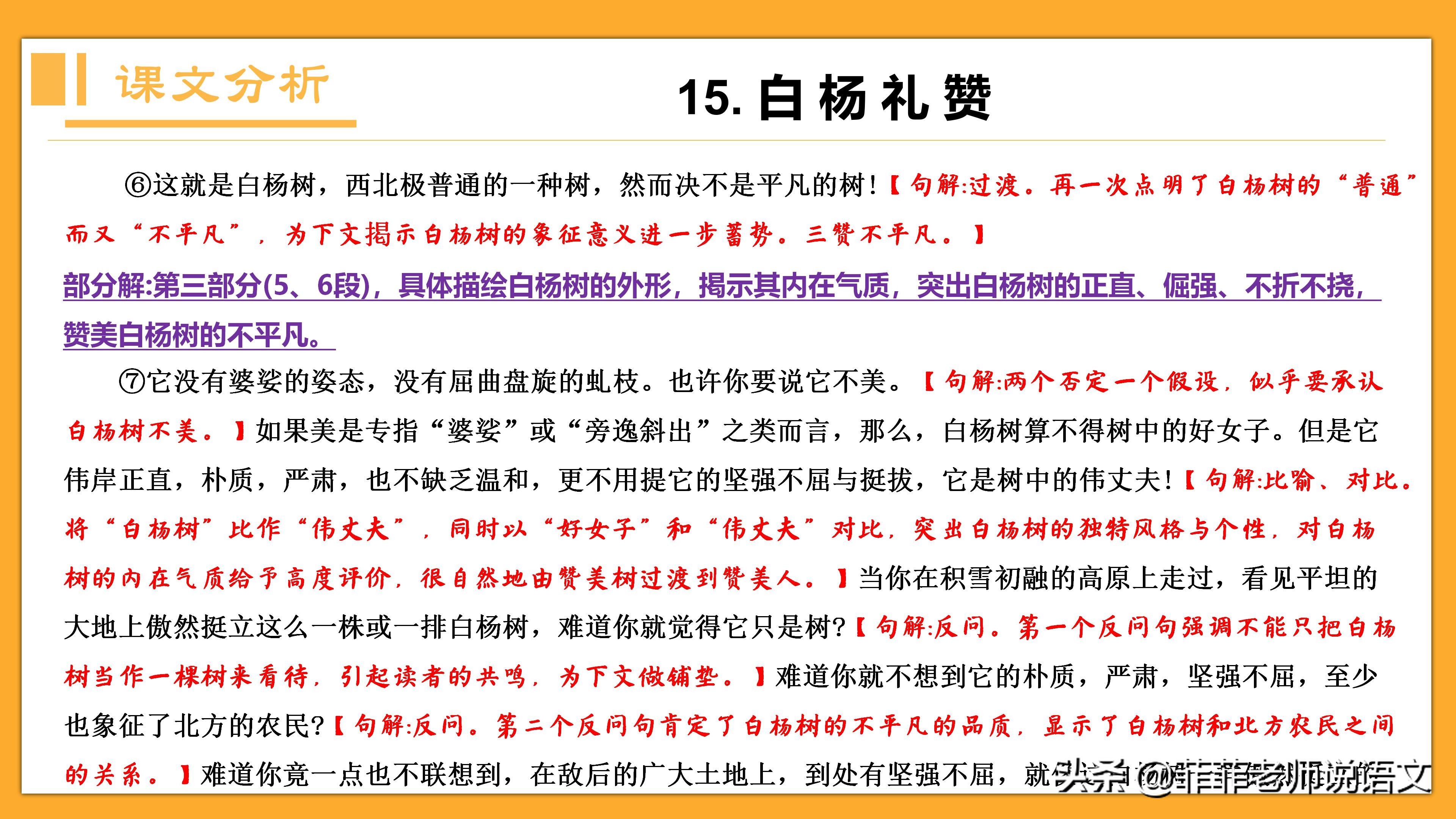 八年级语文上册第15课《白杨礼赞》详细笔记。预习复习可用