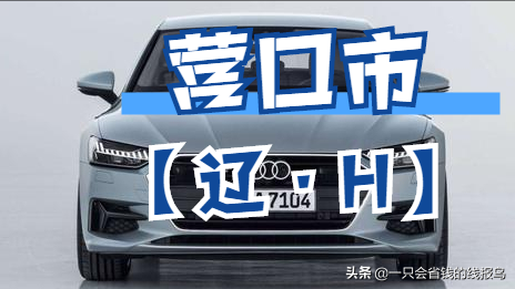 è¾½å®�çœ�æ±½è½¦ç‰Œç…§æŒ‰ç…§å&shy;—æ¯�æ�’åº�
