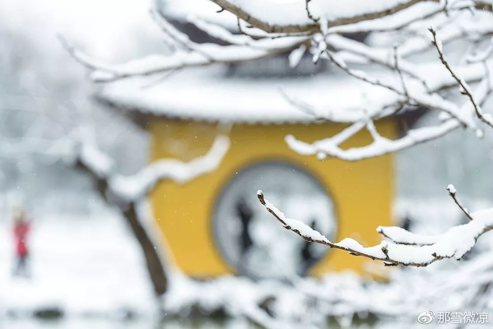 花影飞雪瘦西湖，诗词梦里醉扬州