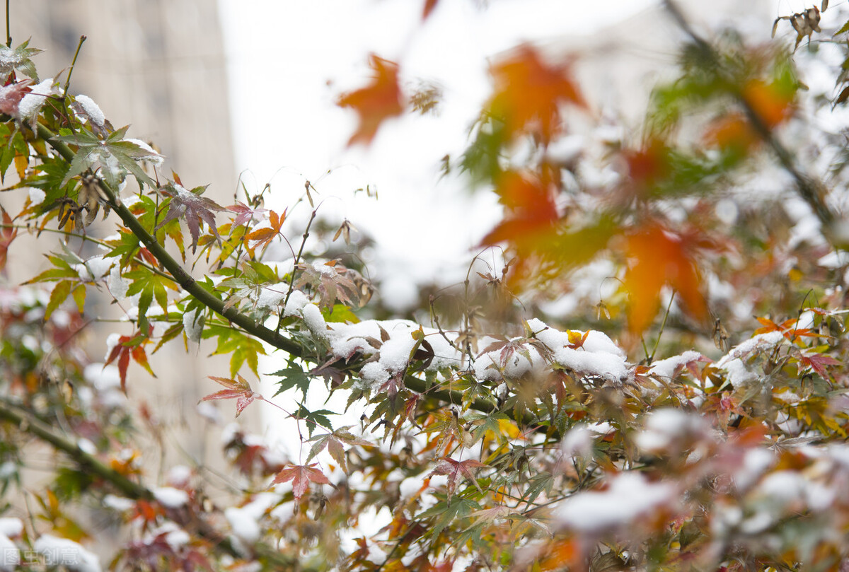 拥抱天空，迎接明天