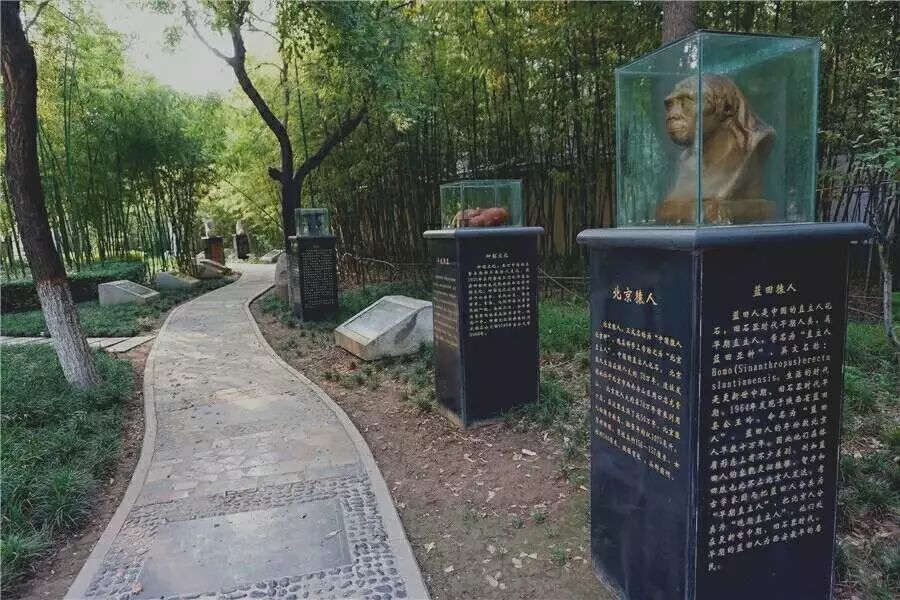 重回长安二中，解锁了一段青春