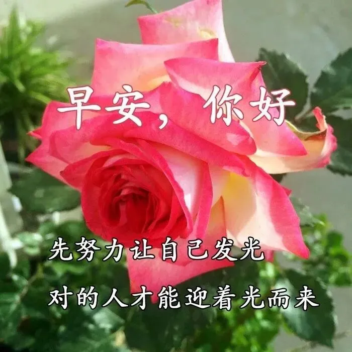 「2021.05.19」早安心语,正能量又是充满希望的一天继续笑着向前