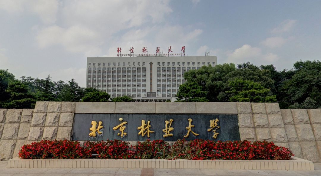 曾经的八大学院，怎样的过去，才有今日的辉煌