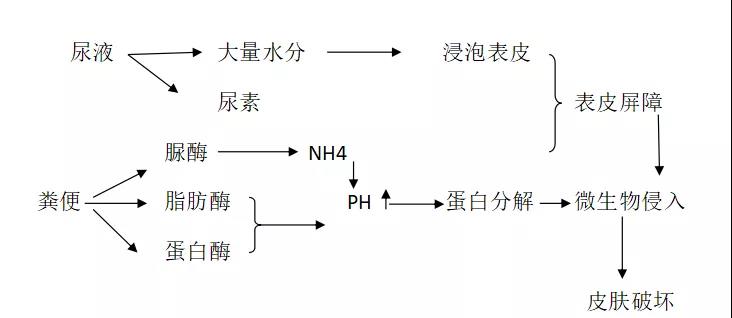 一文看懂尿布皮炎，让宝宝远离“红屁股”