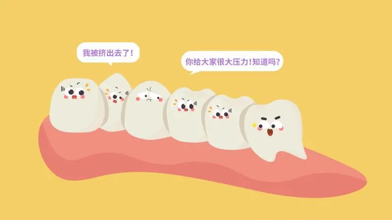 6-12岁换牙时间和换牙期问题大盘点!孩子一口好牙关键就在这几点