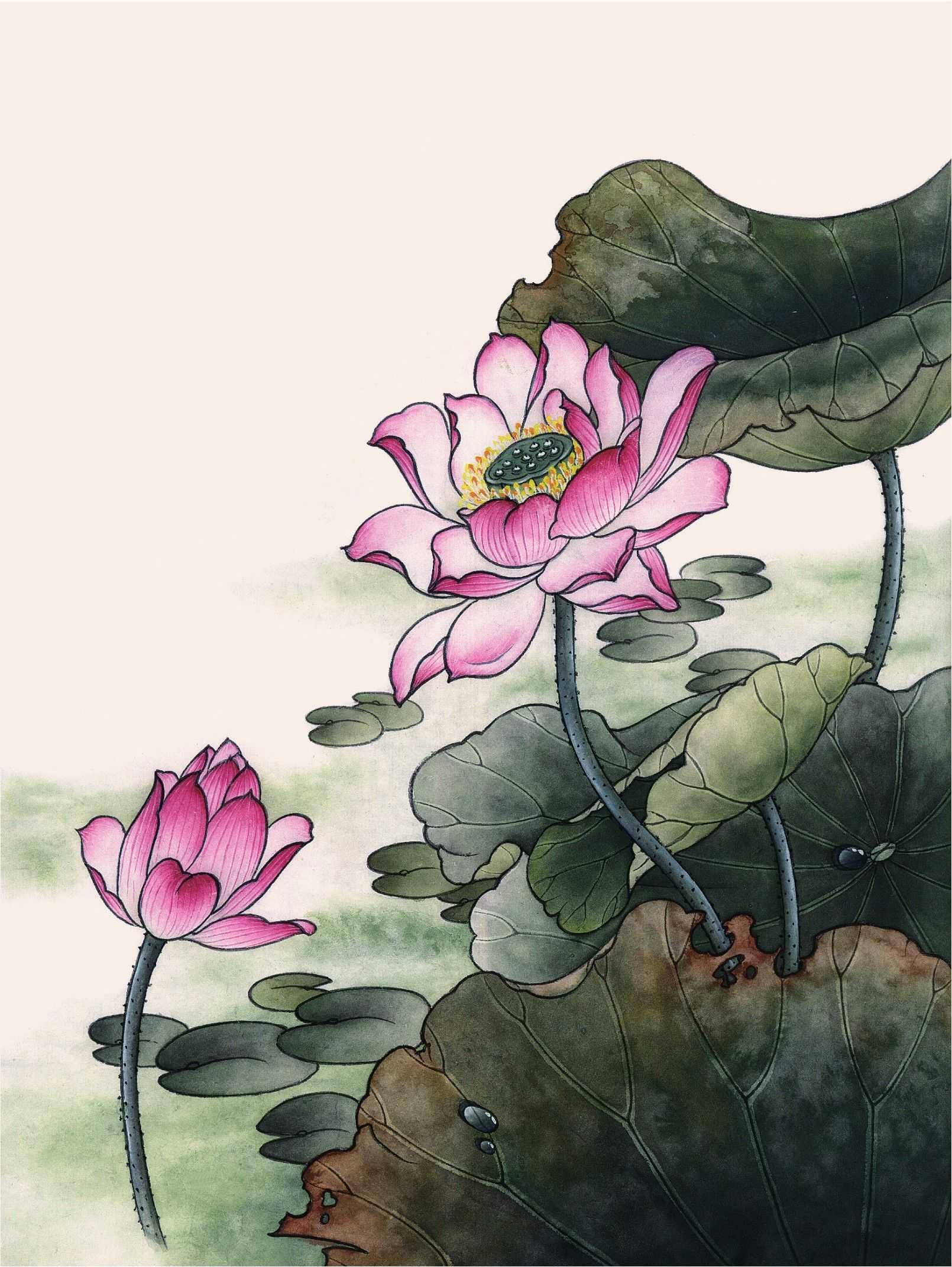 中号白云笔用色:曙红,钛白,花青,藤黄,赭石,墨其他:调色盘,熟宣纸荷花