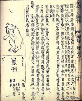 1915年，一头猛兽闯入村庄袭人，600人组成讨伐队也未将其制服