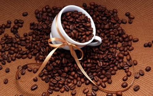 咖啡豆种植（咖啡豆要怎么种及详细步骤有哪些）