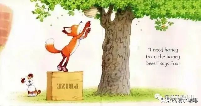 自然拼读绘本《Fox on a box》—通过拼读音素，学会单词发音