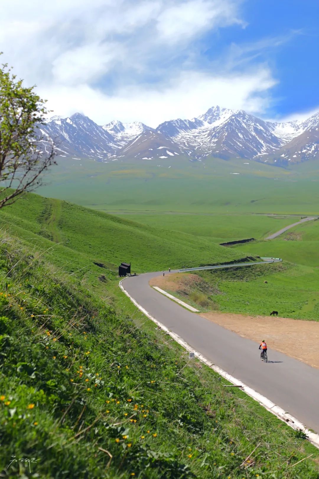 伊犁那拉提,世界级美景!不愧为新疆最著名的草原之一