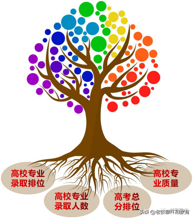 一文完整、透彻讲解：如何进行高考志愿填报所需数据的准备？