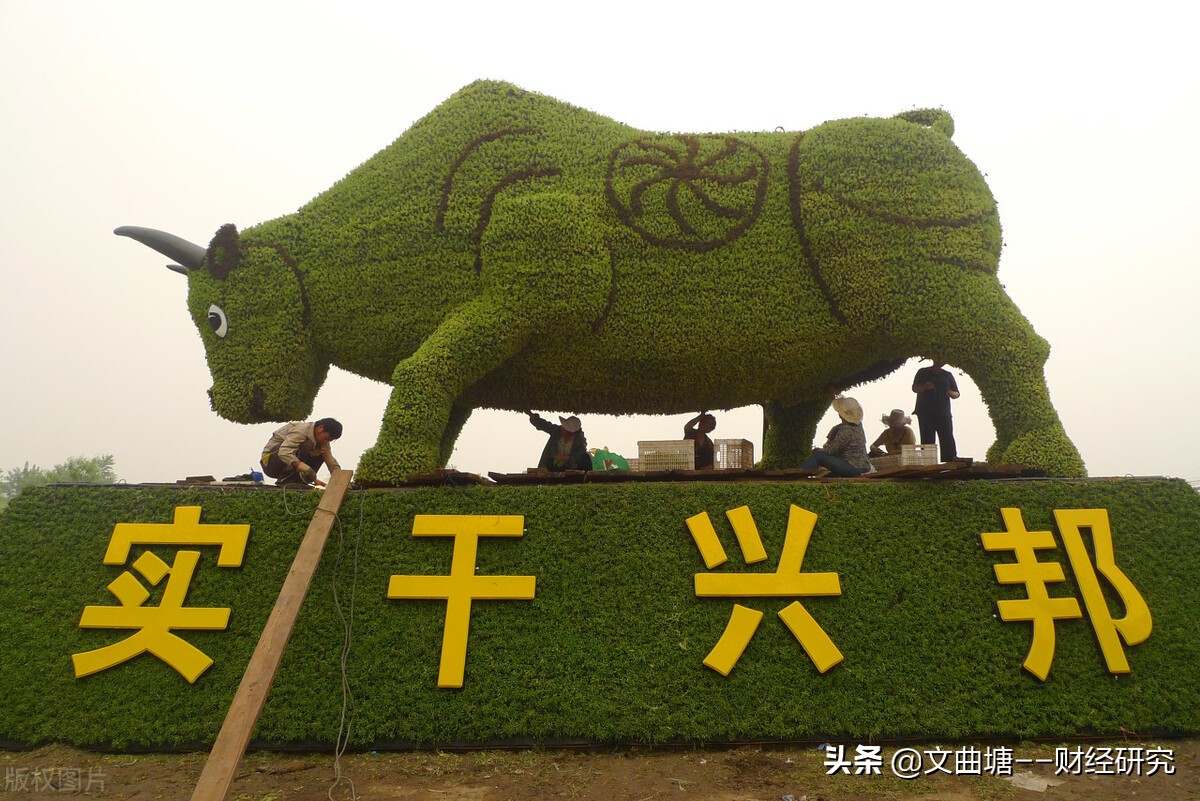 龙头股票怎么选？