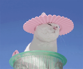 韩国又出一款“变态”遮阳帽！能阻隔99%紫外线，戴上后还能降温