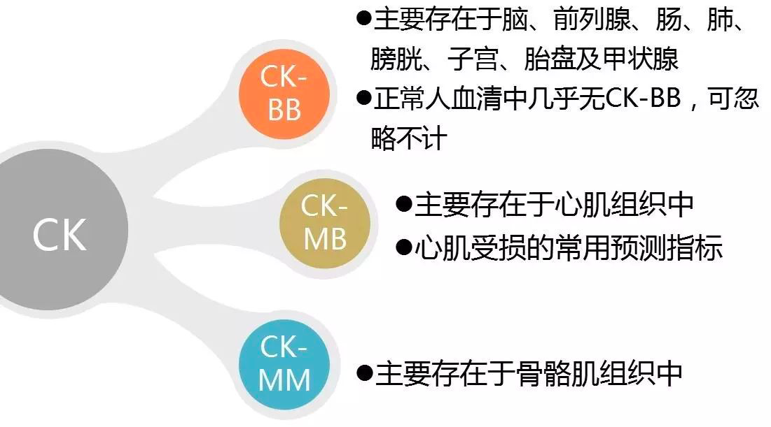 「同行问」肌酸激酶MB型同工酶（CK-MB）>CK，如何解释？