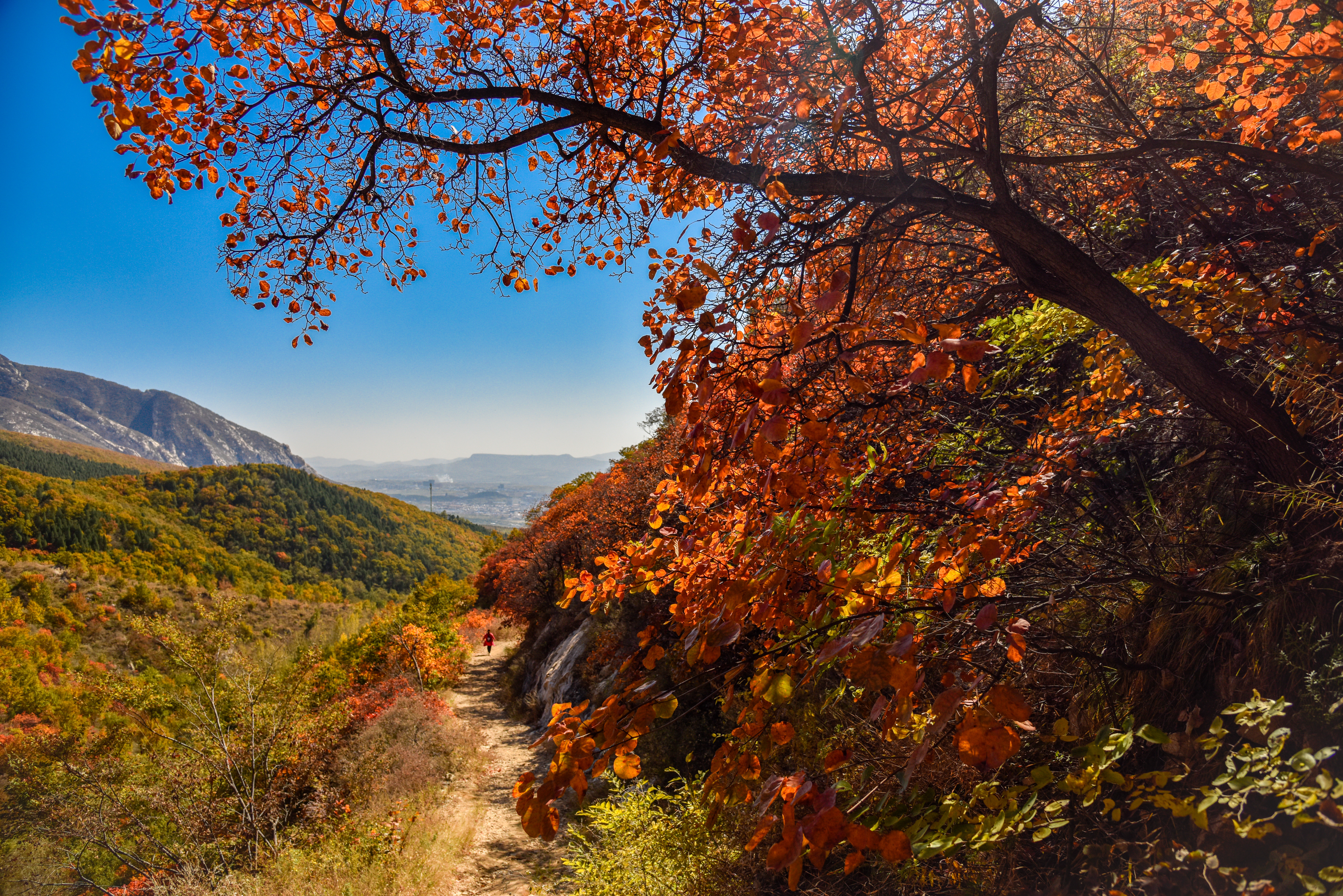 元好问在嵩山时的诗文交游
