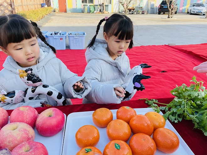 新学期，新征程：春暖花开，京华合木幼儿园犇你而来