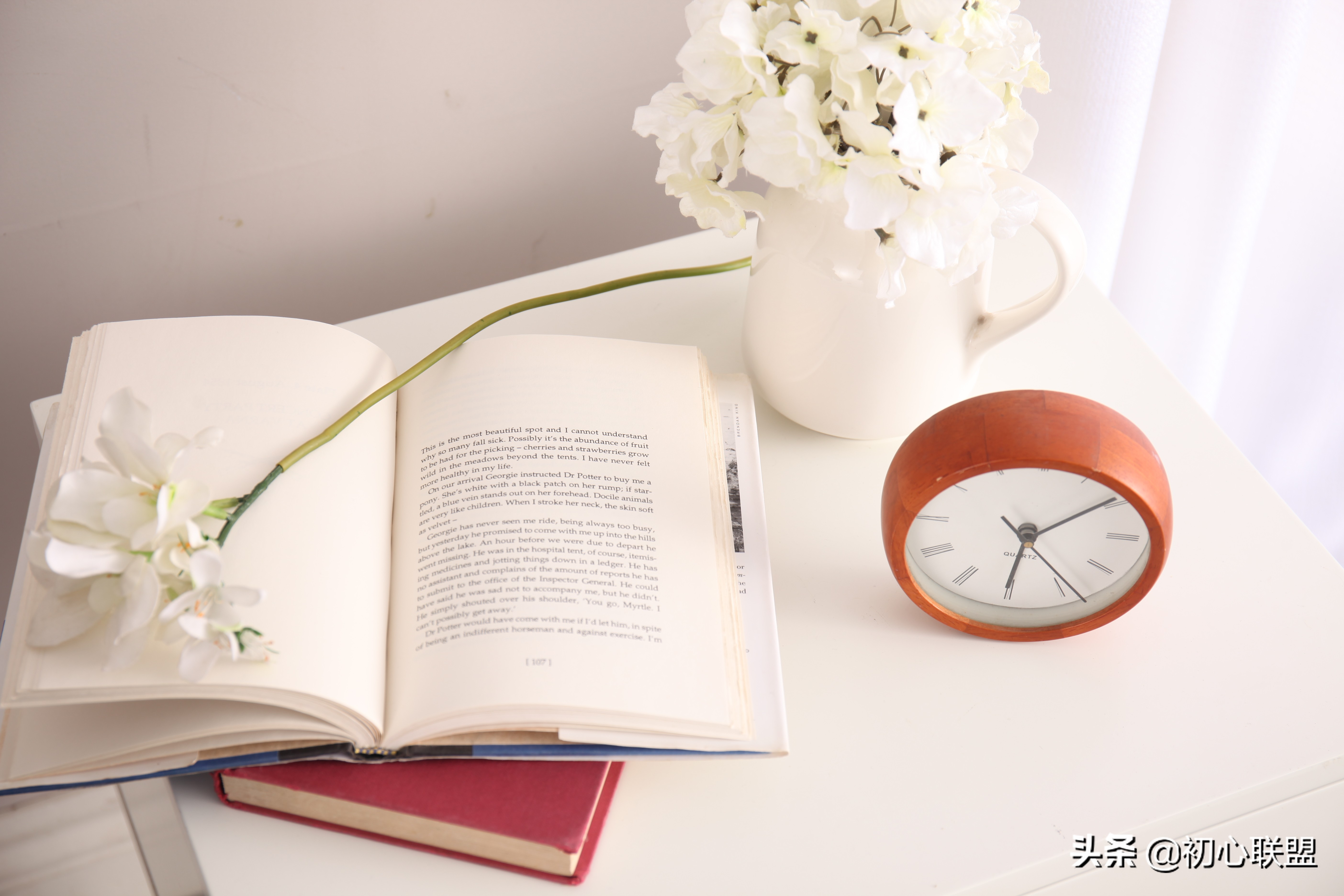 带你获得辽宁大学日语研究生入场券——全攻略（附真题回忆）