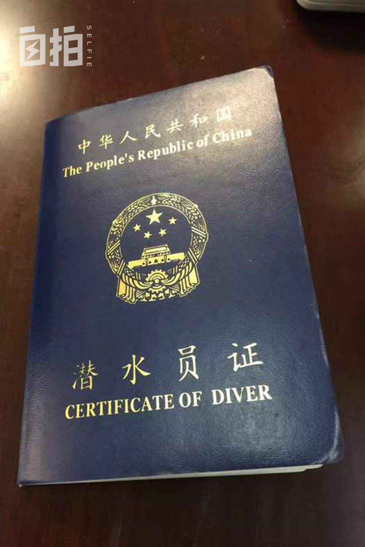 每年捞尸几十具，戴金链子辟邪，我的手机尾号是4444