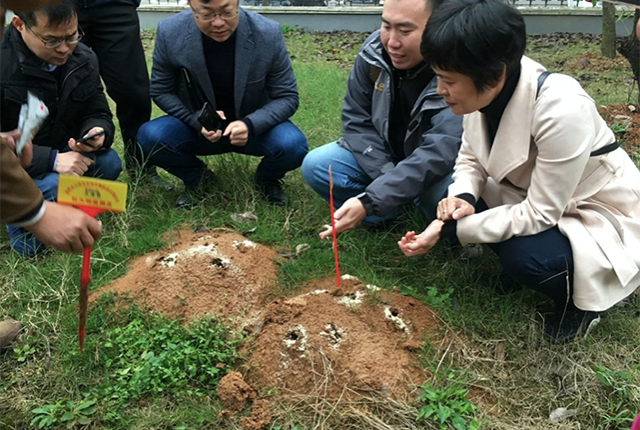 红火蚁最怕什么农药,红火蚁最怕什么农药上市公司