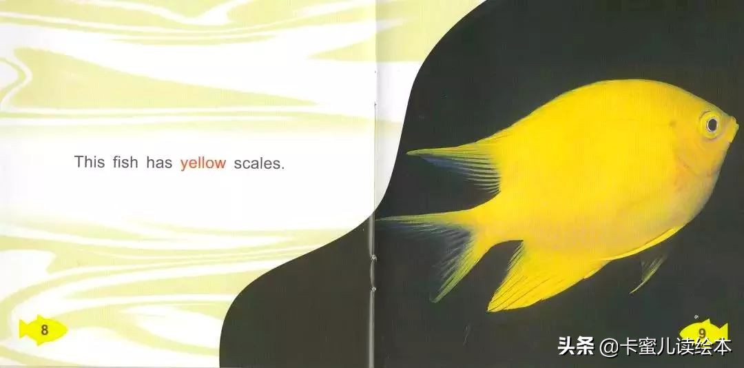 英文有聲繪本《Fish Colours》魚的顏色