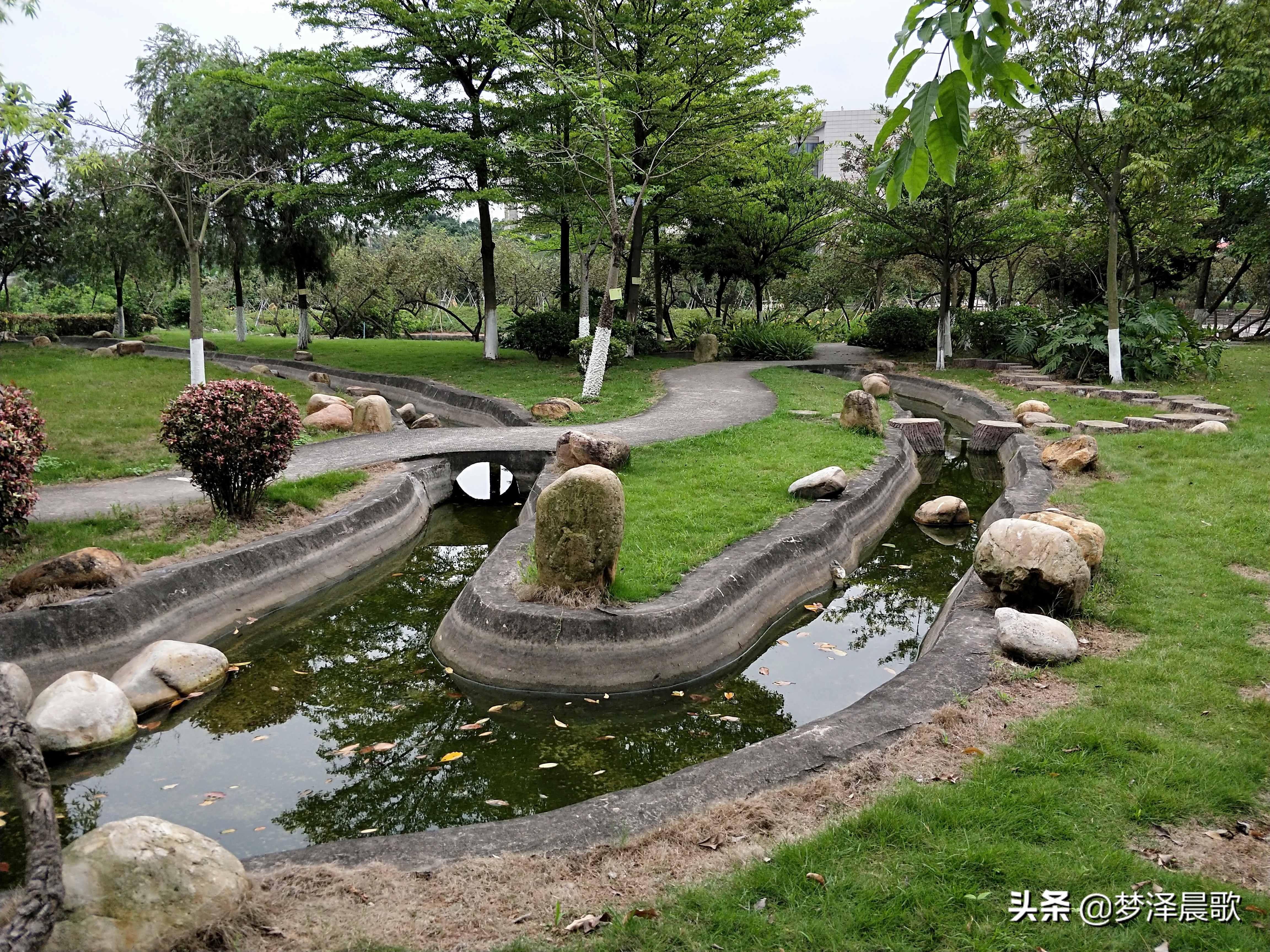 美丽校园“广州大学”