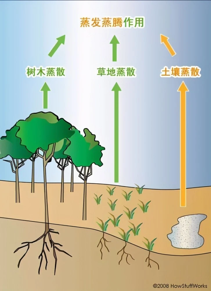 毛乌素沙漠(毛乌素沙漠即将消失，为何塔克拉玛干沙漠不会被消灭？)