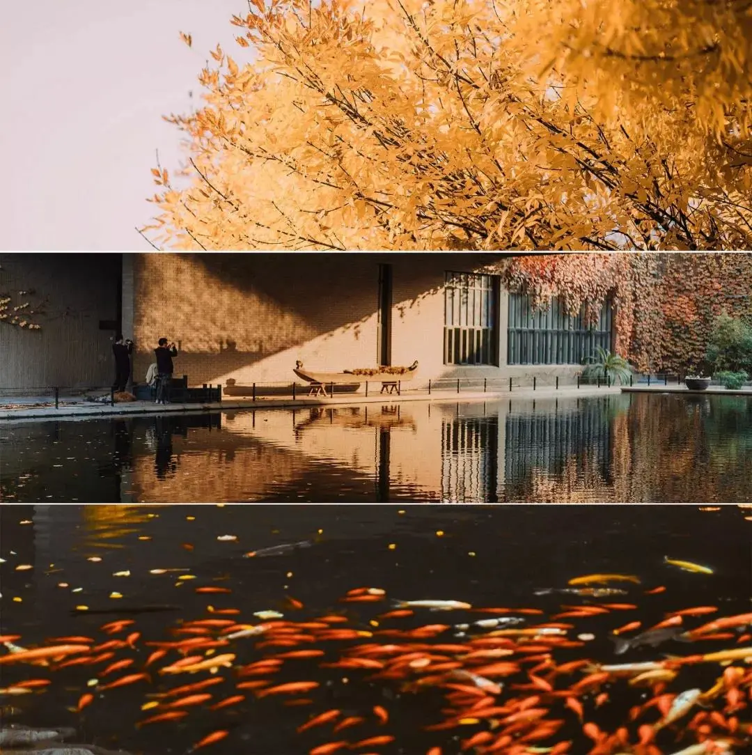 天津大学，125年，谢谢你