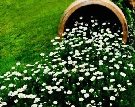 海安市城东镇西场小学韦钰：走出舒适圈——我的首次三年级之旅