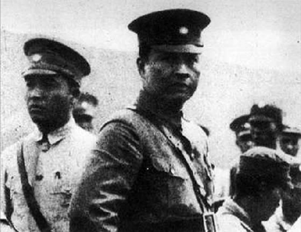 建国后中央禁止持枪见主席，王震是个例外，主席：别拿原子弹就行