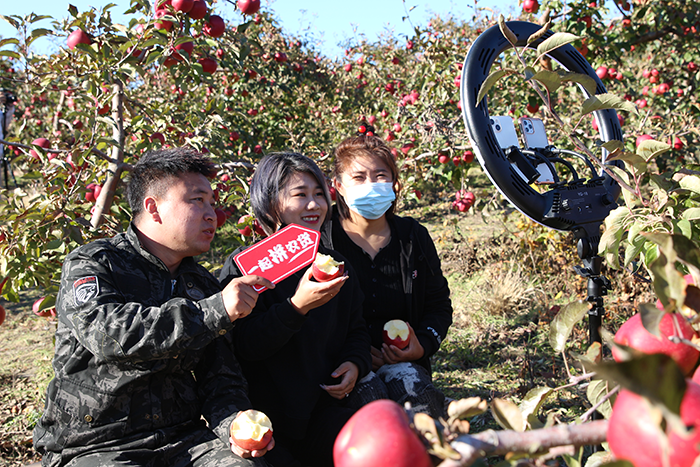 孟岭涌现一批“新农人”，富硒苹果搭上“快班车”