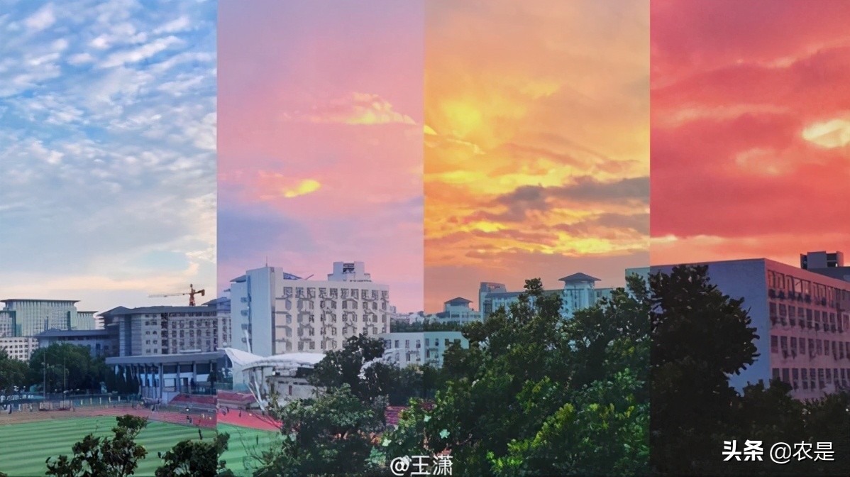 汪玥（女），南京农业大学助理研究员，动物繁殖专家