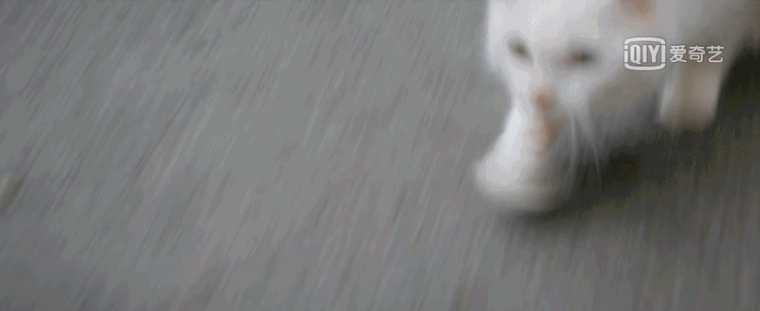 单个贵族需要查看教程。这些明星会教你爱你