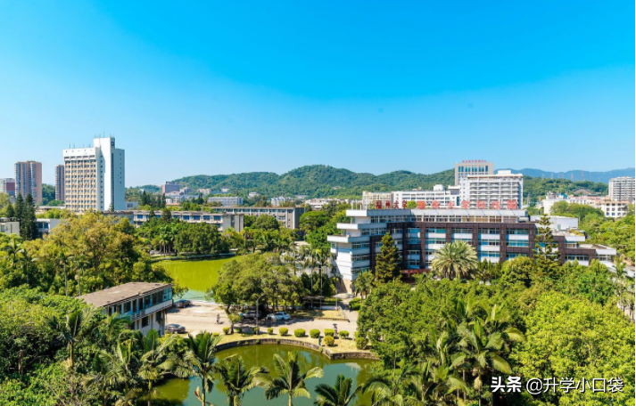 福州大学2021招生章程出炉，外语类专业，这类考生不要报考