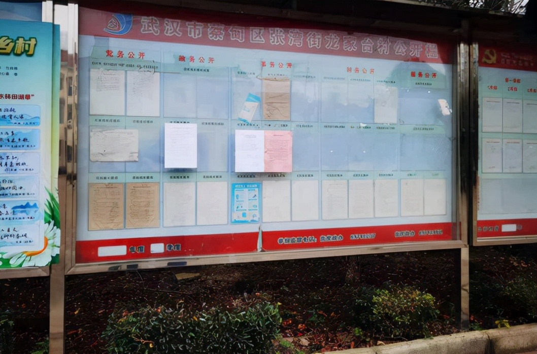 生态环境人员“为群众办实事”武汉蔡甸区10个村环境明显改善