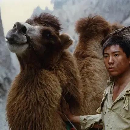 祥子的三起三落